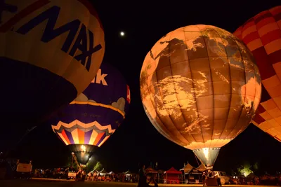 DSC_2436 (Large).JPG